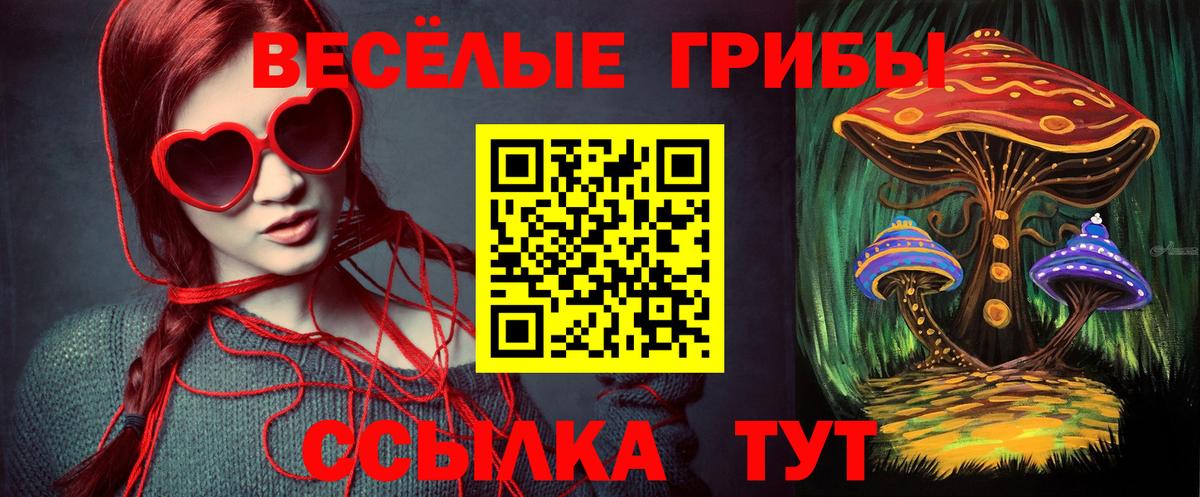 Ишим  Галлюциногенные грибы MAGIC MUSHROOMS  Вход с VPN  Галлюциногенные грибы ЛСД 